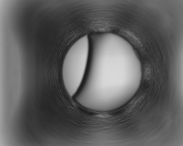 X0000098130121200804171107