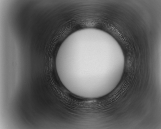 X0000098130122200804171107