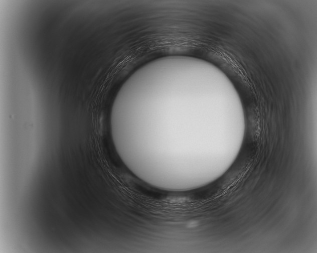 X0000098130123200804171107