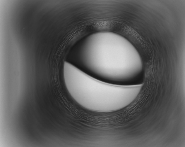 X0000098130124200804171107