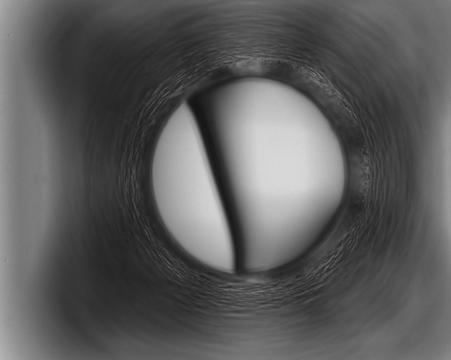 X0000098130125200804171107