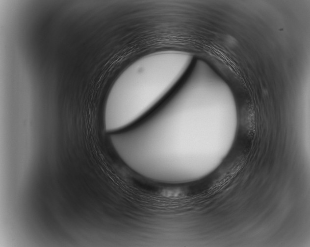 X0000098130127200804171107