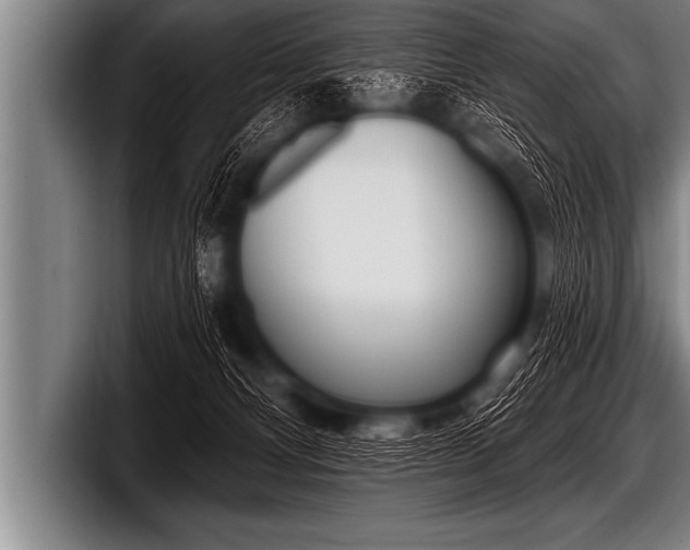 X0000098130128200804171107
