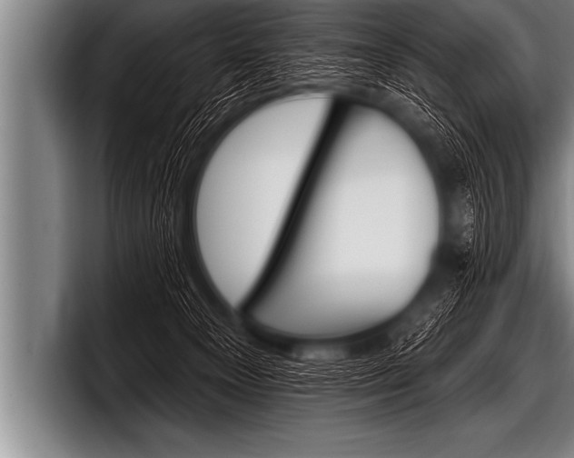 X0000098130129200804171107