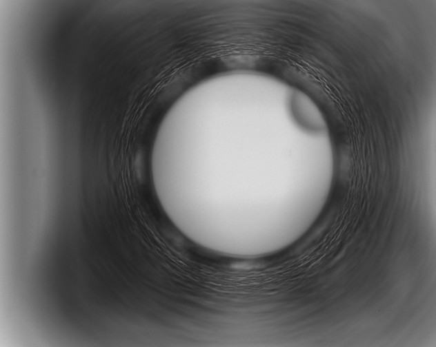 X0000098130130200804171107