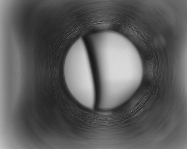 X0000098130131200804171107