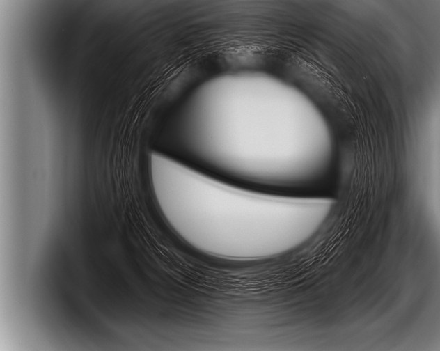 X0000098130132200804171107