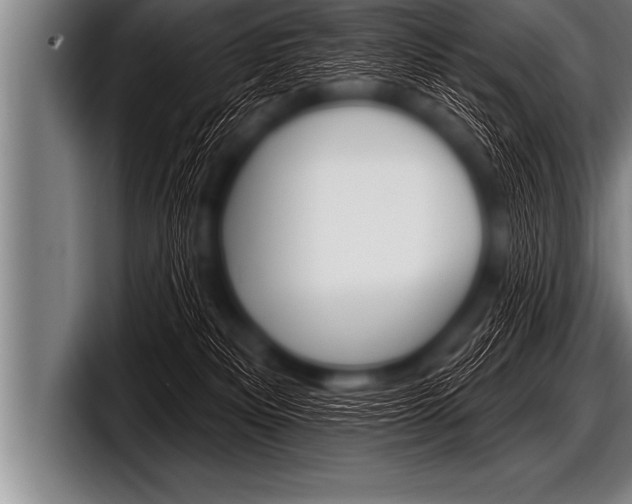 X0000098130133200804171107