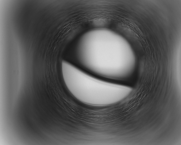 X0000098130136200804171107