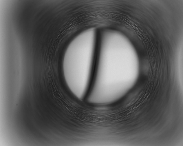 X0000098130139200804171107
