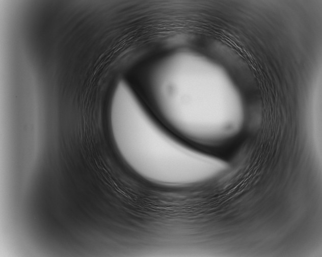 X0000098130140200804171107