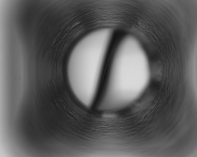 X0000098130141200804171107