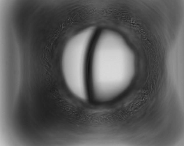 X0000098130144200804171107