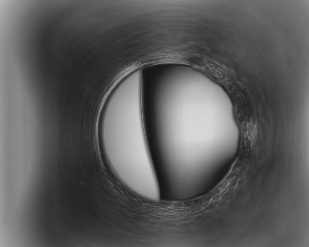 X0000098130148200804171106