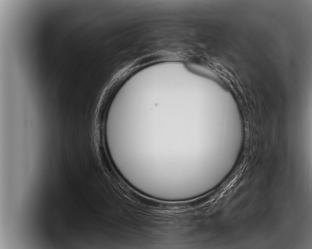 X0000098130149200804171106