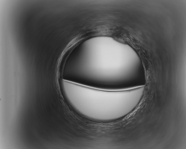 X0000098130150200804171106