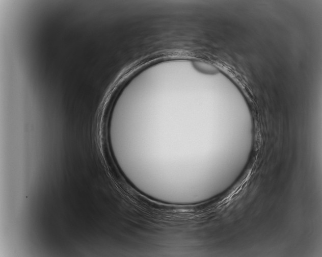 X0000098130151200804171106
