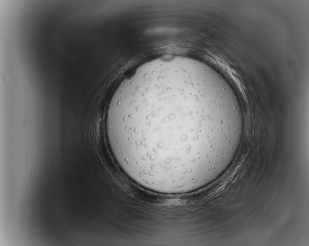 X0000098130153200804171106