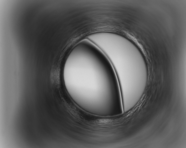 X0000098130154200804171106