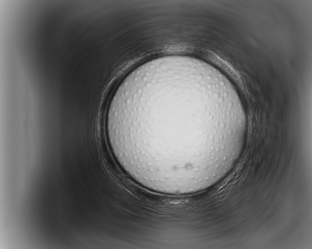 X0000098130155200804171106