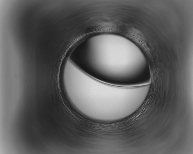 X0000098130156200804171106