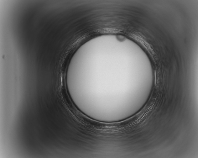 X0000098130157200804171106