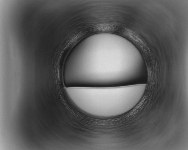 X0000098130158200804171106