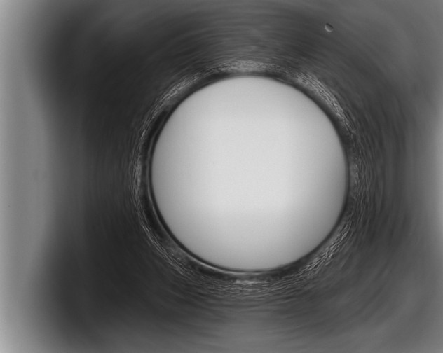 X0000098130159200804171106