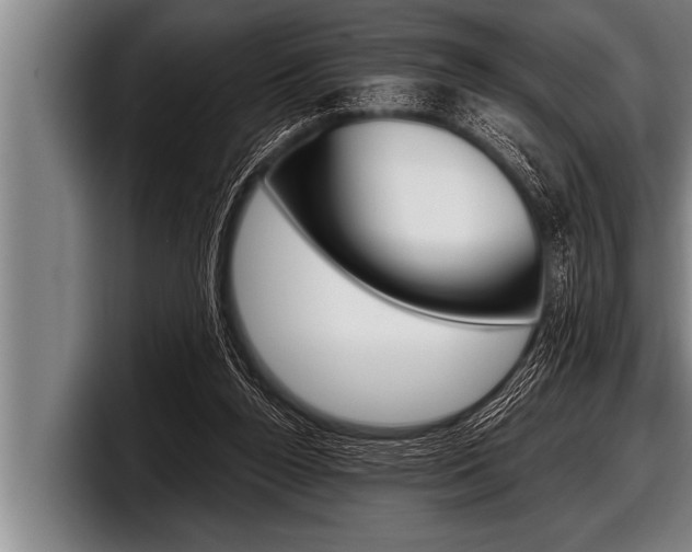 X0000098130160200804171106