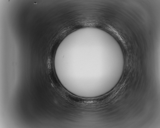 X0000098130161200804171106