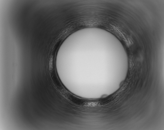 X0000098130163200804171106