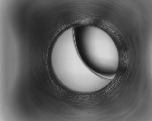 X0000098130164200804171106