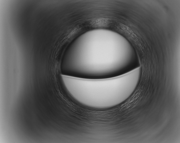 X0000098130168200804171106