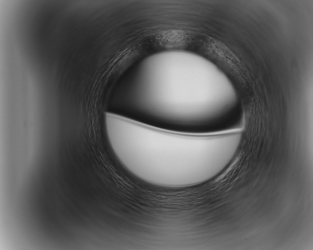 X0000098130170200804171106
