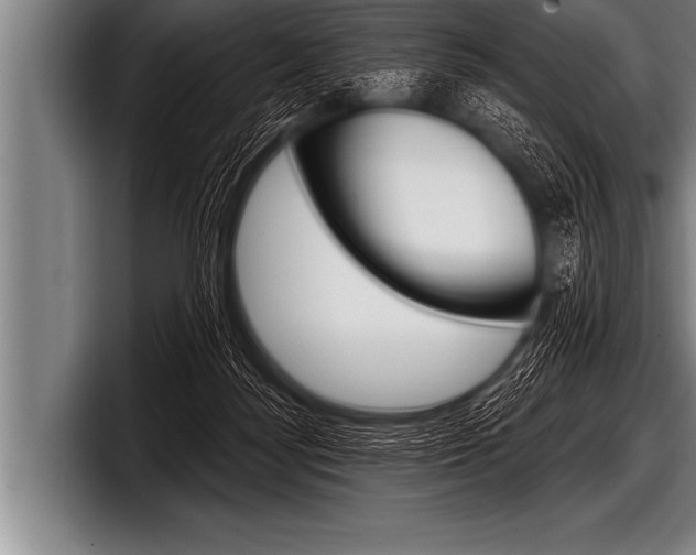 X0000098130172200804171106