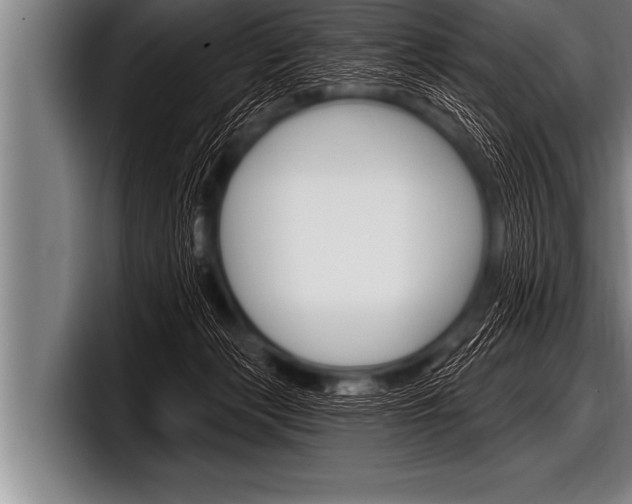 X0000098130173200804171106