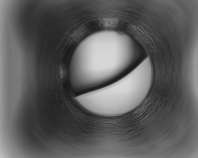X0000098130176200804171106