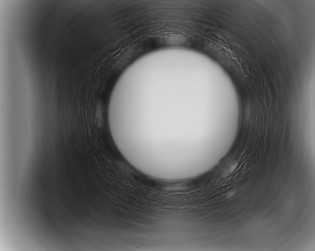 X0000098130177200804171106