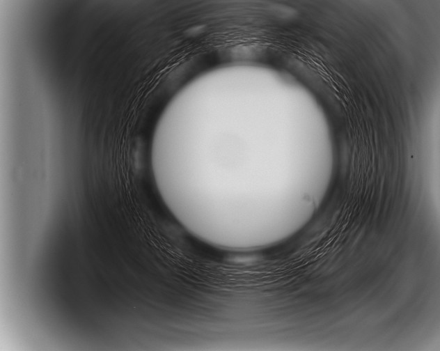 X0000098130181200804171106