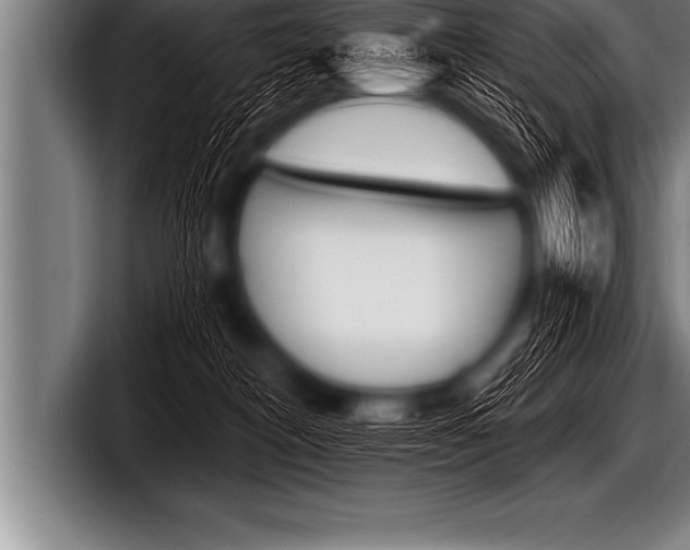 X0000098130182200804171106
