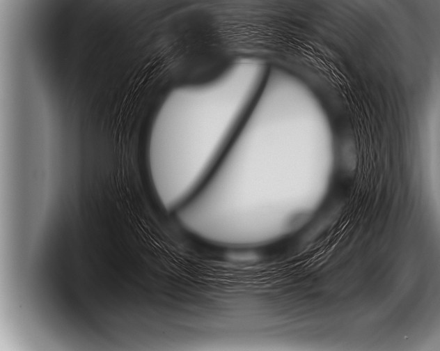 X0000098130185200804171107