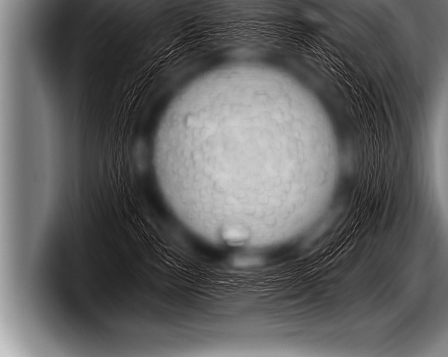 X0000098130187200804171107