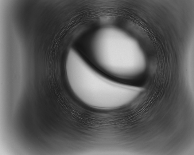 X0000098130188200804171107