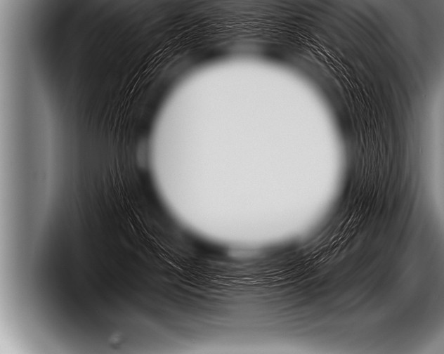 X0000098130190200804171107