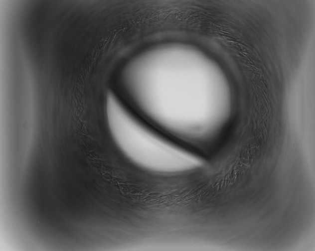 X0000098130192200804171107