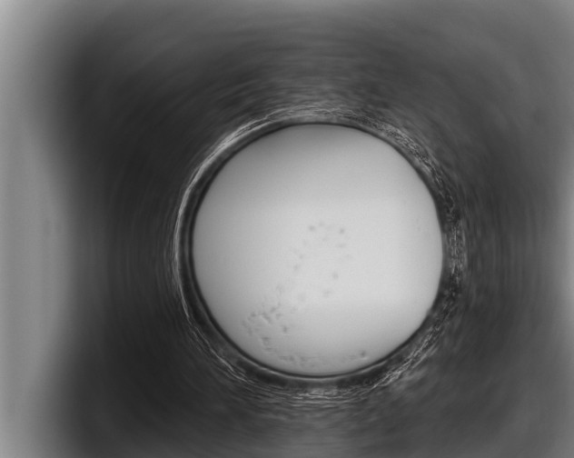 X0000098130196200804171106