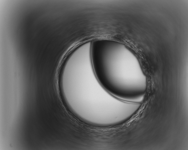 X0000098130197200804171106