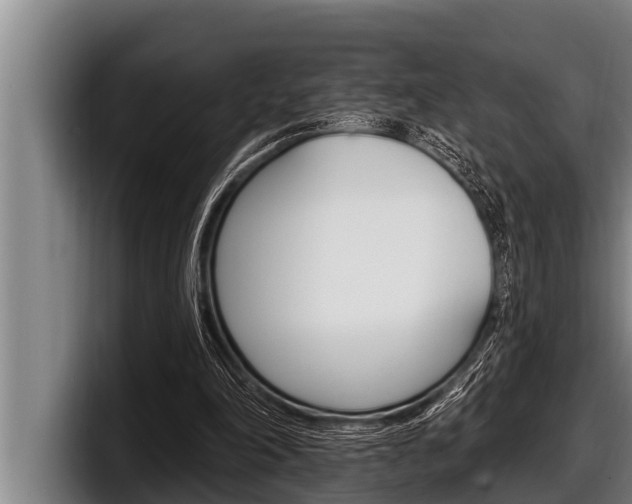 X0000098130198200804171106