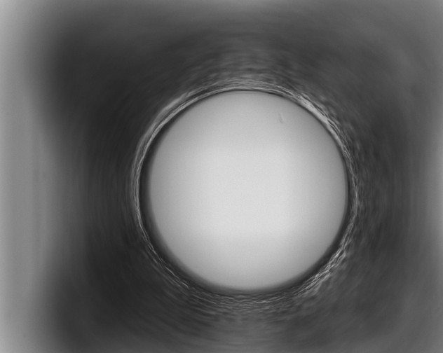 X0000098130199200804171106