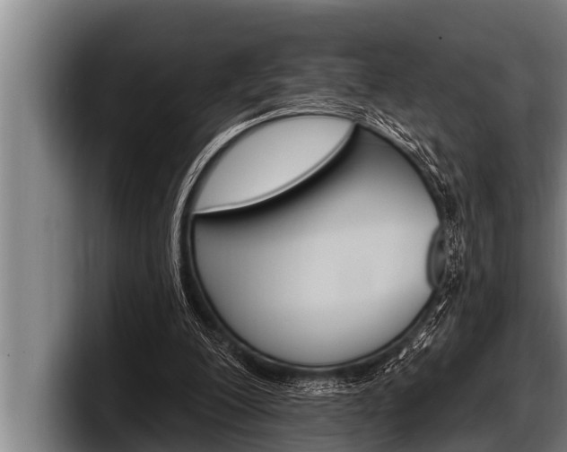 X0000098130200200804171106